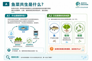 鱼菜共生系统介绍