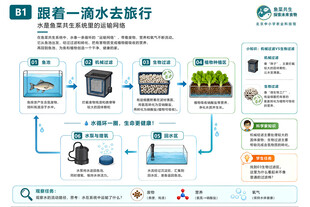 智能海水生态循环系统展示