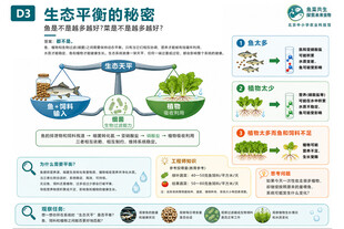 生态平衡的秘密解读