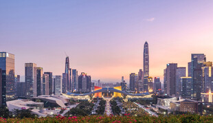 都市璀璨天际线景观