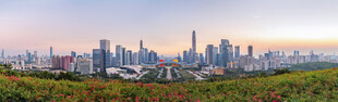 城市天际线与绿植景观