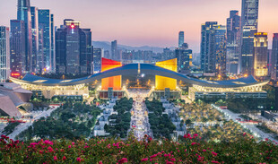 城市璀璨景观与绚丽花卉