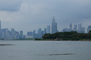 湖畔城市天际线景观