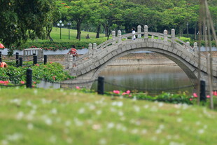 公园中式石桥风景