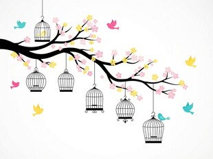 花鸟装饰墙贴