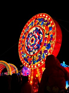 夜间绚烂花灯展