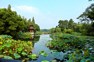 江南荷塘园林湖景