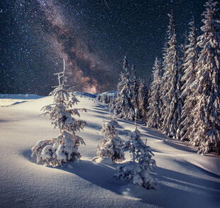 冬夜雪林星空盛景