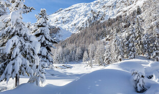 冬日山林雪景风光