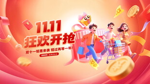  双11  