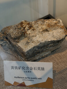 黄铁矿化含金石英脉