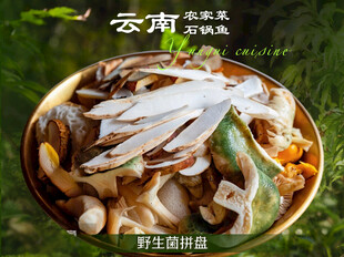 云南农家菜野生菌菜品图