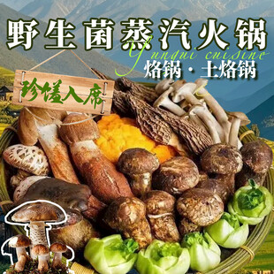 野生菌烙锅火锅入口图