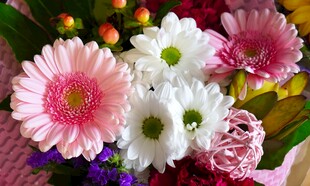 清新非洲菊鲜花花束