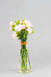 瓶插粉色康乃馨花束