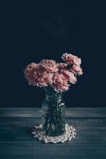 暗调粉花静物摆拍