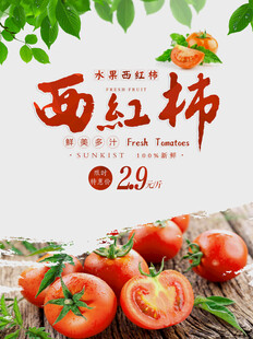 西红柿海报设计模板