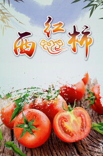 西红柿海报设计模板