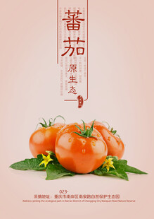 西红柿海报模板素材