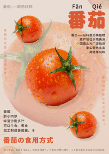 西红柿海报模板