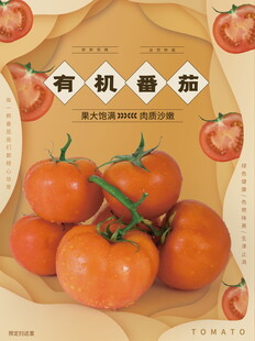 西红柿海报模板素材