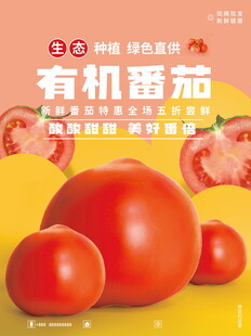 西红柿海报设计模板