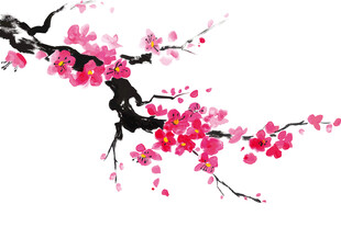 梅花