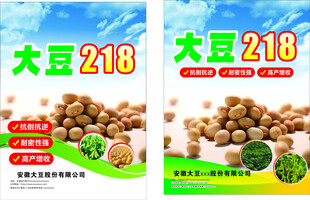 大豆218种子宣传海报