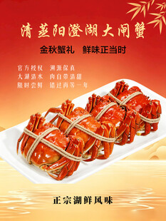 大闸蟹海报