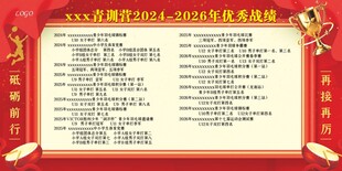 优秀战绩