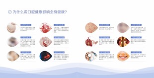 眼球解剖科普示意图