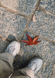 脚边的秋日红枫落叶