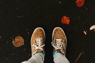 脚下散落的花瓣
