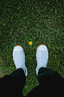 脚边草地小黄花