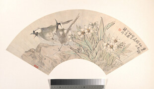 花鸟水仙扇面国画