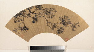 墨梅扇面古画