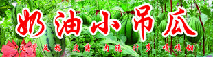 奶油小吊瓜宣传招牌