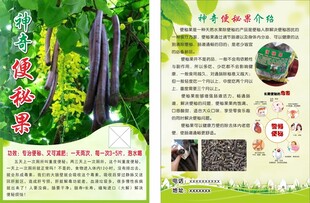 便秘果传单