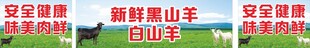 黑白山羊肉批发