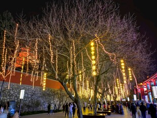 西安夜景