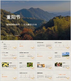 重阳 全市赏菊话佳节
