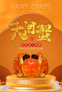 大闸蟹 