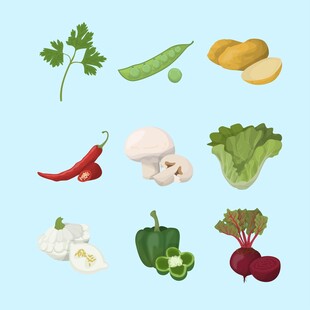 蔬菜插画合集
