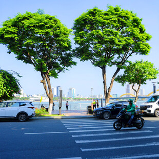滨江城市道路街景