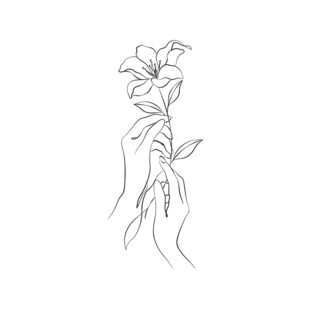 线描手捧百合插画