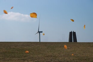 旷野风电