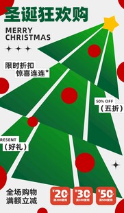 圣诞狂欢购促销海报