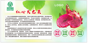 红心火龙果宣传海报