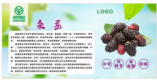 桑葚科普宣传海报