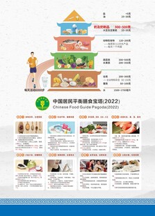 平衡膳食宝塔